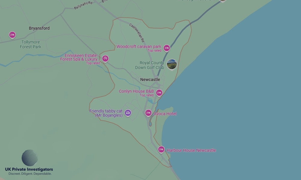 UK Private Investigators - Areas our detectives operate in LoNewcastlendon