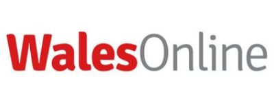 UK Private Investigators - WalesOnline press coverage for our Process Servers in Goddington
