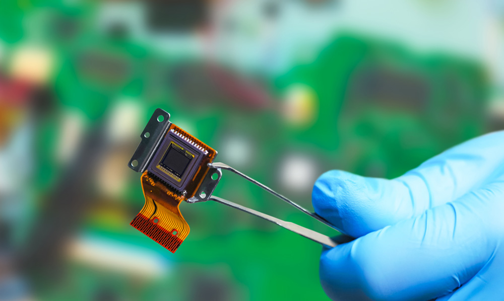 Book an Emergency Bug Detection Sweep in Temple Fortune