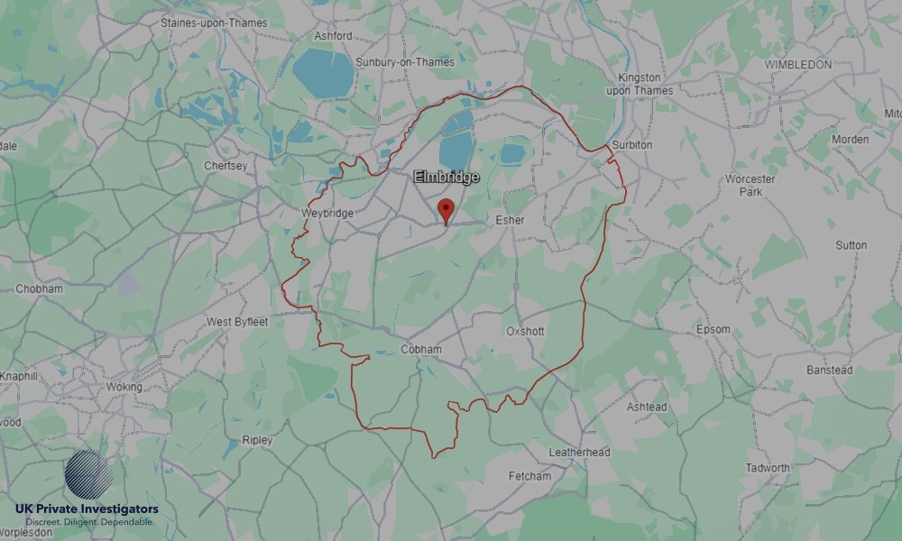 Local Coverage in Elmbridge & Surrounding Areas